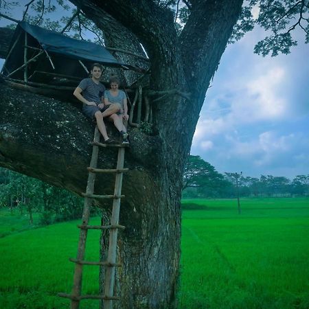 Sigiriya Lahiru Homestay Экстерьер фото