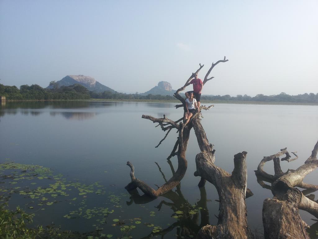 Sigiriya Lahiru Homestay Экстерьер фото