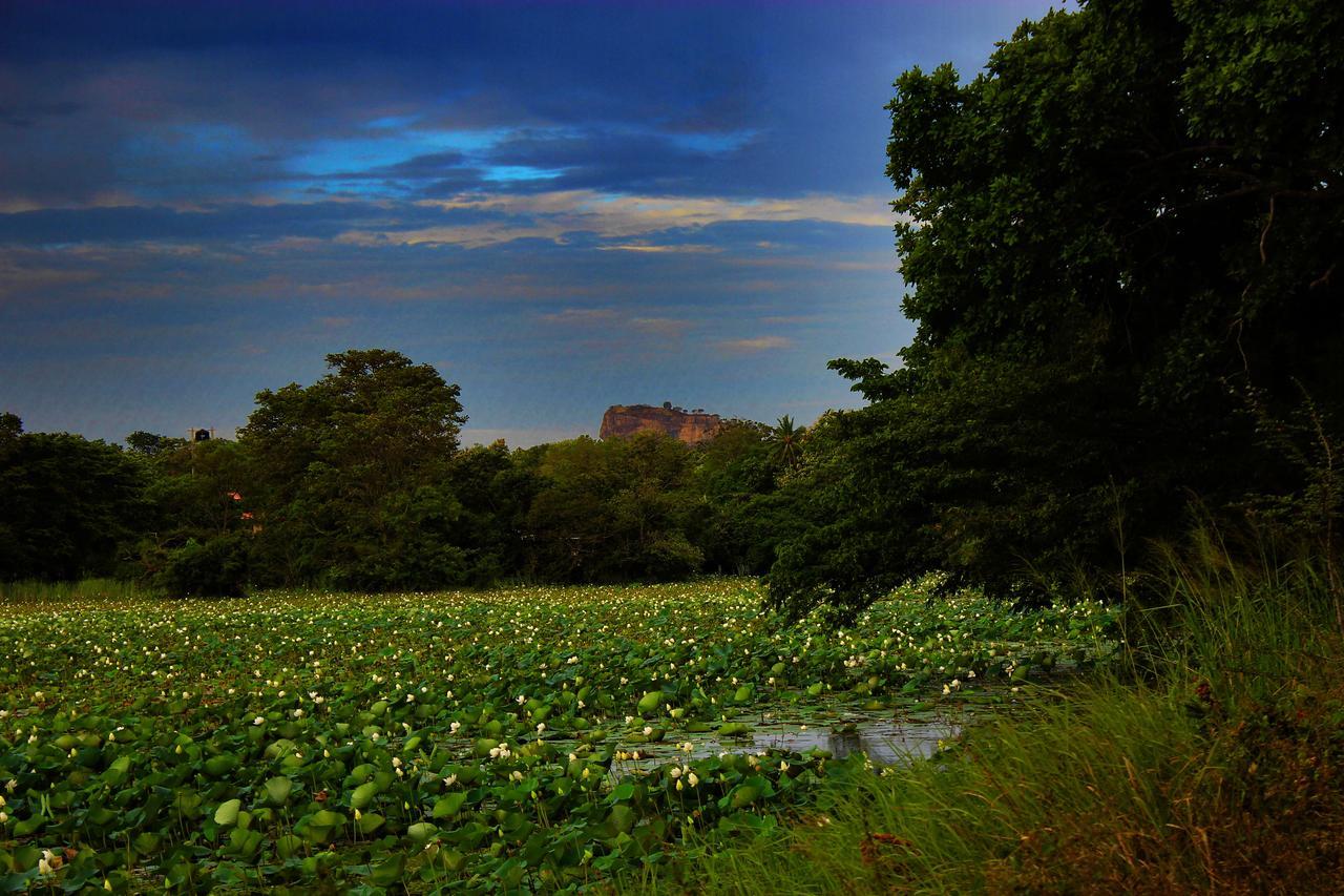 Sigiriya Lahiru Homestay Экстерьер фото