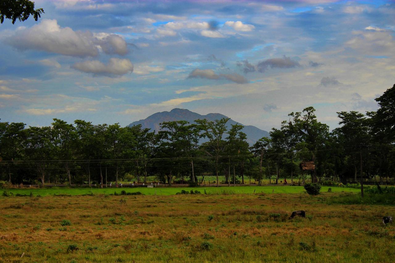 Sigiriya Lahiru Homestay Экстерьер фото