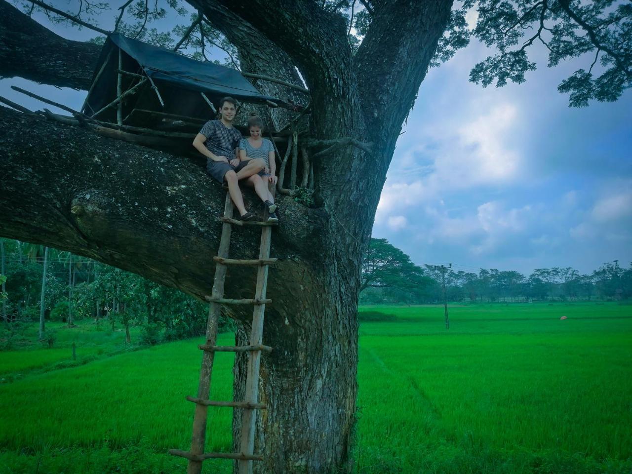 Sigiriya Lahiru Homestay Экстерьер фото